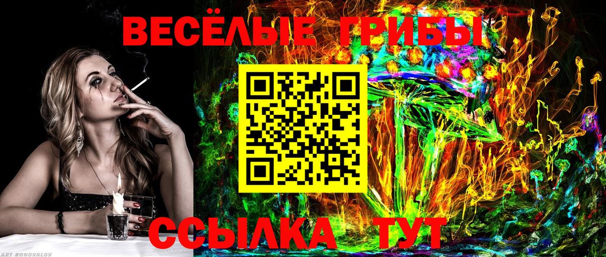 хочу   Псилоцибиновые грибы мицелий  Вход с VPN  Уссурийск 